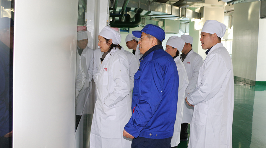安徽省藥監(jiān)局吳麗華副局長(zhǎng)一行蒞臨安徽九洲方圓制藥有限公司檢查指導(dǎo)工作