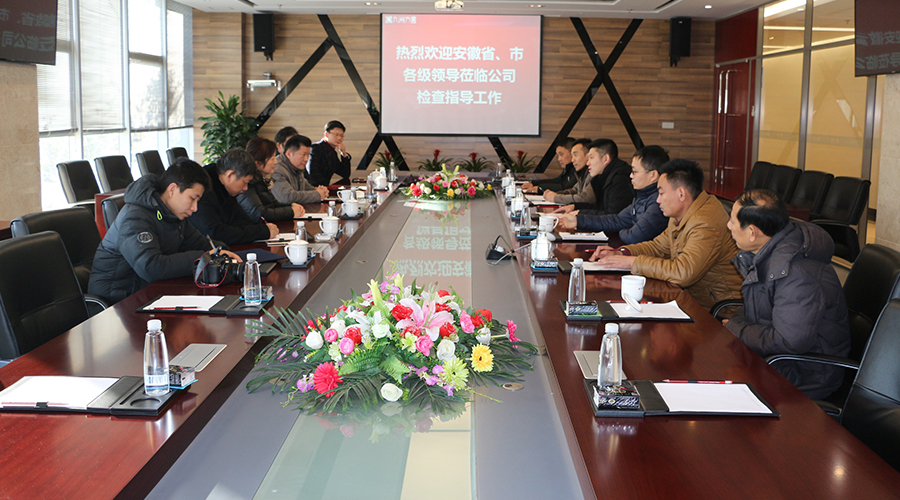 安徽省藥監(jiān)局吳麗華副局長(zhǎng)一行蒞臨安徽九洲方圓制藥有限公司檢查指導(dǎo)工作